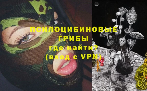 мет Бородино